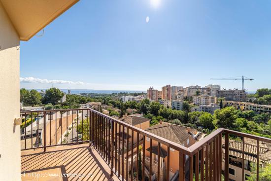  5º piso con ascensor en Bonanova, Palma. - BALEARES 