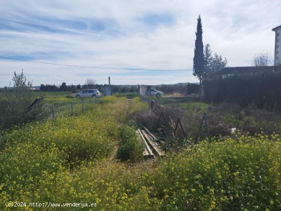 Terreno rural en Carpio - CORDOBA