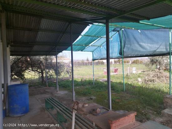 Terreno rural en Carpio - CORDOBA