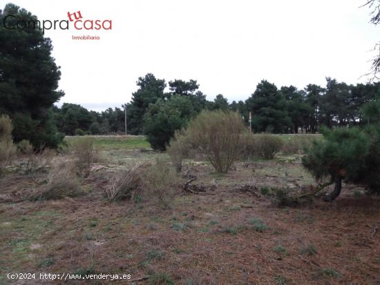 VENTA.-.PIMPOLLADAS.-.NAVAS DE ORO.-.DOCUMENTACION AL DIA.- - SEGOVIA