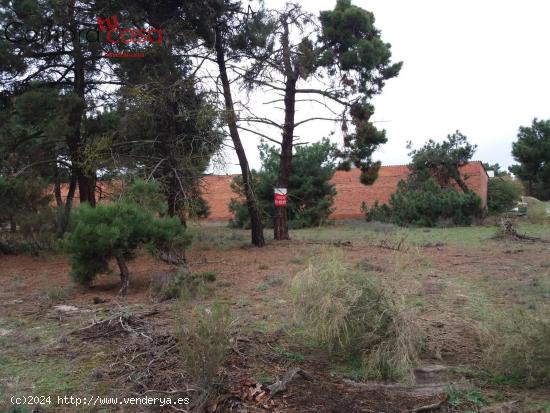 VENTA.-.PIMPOLLADAS.-.NAVAS DE ORO.-.DOCUMENTACION AL DIA.- - SEGOVIA