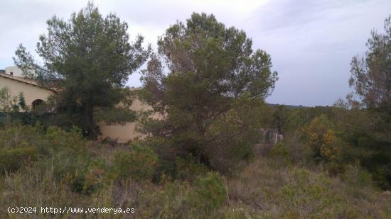 ¡OPORTUNIDAD DE TERRENO URBANO EN LA BISBAL DEL PENEDÈS! - TARRAGONA