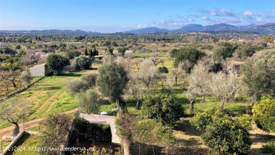 Adosado en Campanet con vistas - BALEARES