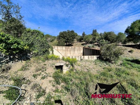 FINCA RUSTICA EN VENTA A 5 MINUTOS DEL PUEBLO DE LA SELVA DEL CAMP CON BALSA Y POZO PROPIO - TARRAGO