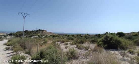  TERRENO EN VENTA PEÑA LAS AGUILAS - ALICANTE 