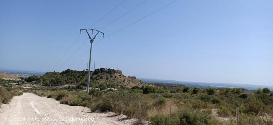 TERRENO EN VENTA PEÑA LAS AGUILAS - ALICANTE