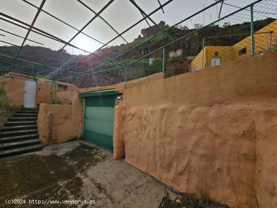 MARAVILLOSA CASA-CUEVA EN EL DRAGONAL BAJO - LAS PALMAS