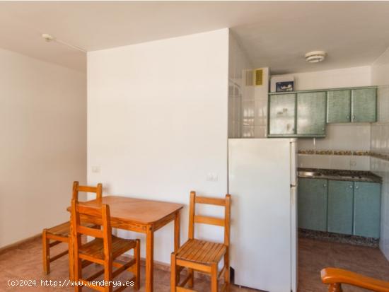 Apartamento en la bajada de la Playa del Inglés - LAS PALMAS