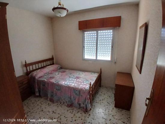 VENTA DE PARCELA EN CASAS VIEJAS - ALBACETE