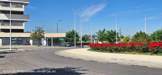 LOCAL COMERCIAL EN ZONA DE ALTO CRECIMIENTO - GRANADA