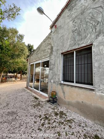 FINCA RURAL A UN PASO DE LA CIUDAD DE ELCHE - ALICANTE