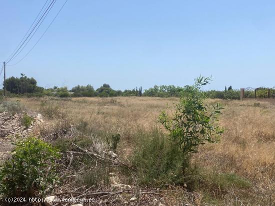 Parcela en la zona de Perleta muy bien ubicada junto a la carretera - ALICANTE