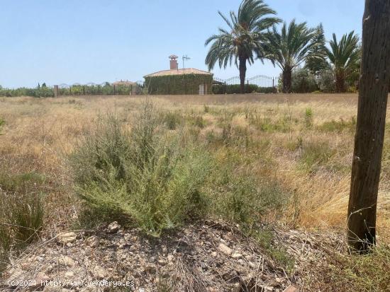 Parcela en la zona de Perleta muy bien ubicada junto a la carretera - ALICANTE