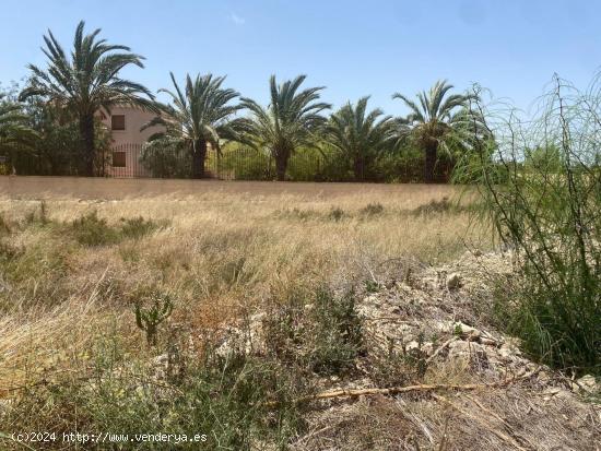 Parcela en la zona de Perleta muy bien ubicada junto a la carretera - ALICANTE