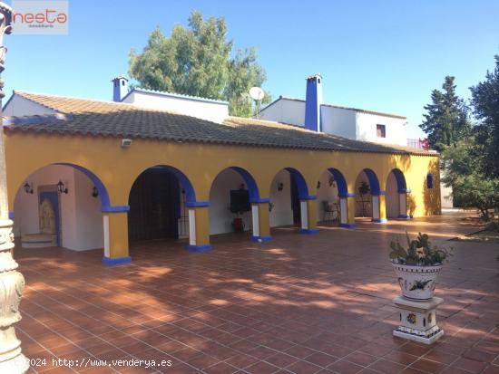 EL JARDÍN DEL EDÉN - UN PARAISO EN EL SURESTE DE ESPAÑA - SOL Y PLAYA - MURCIA