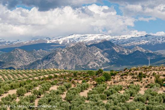 Estupenda parcela en el Campo de Golf  Santa Clara en Otura - GRANADA