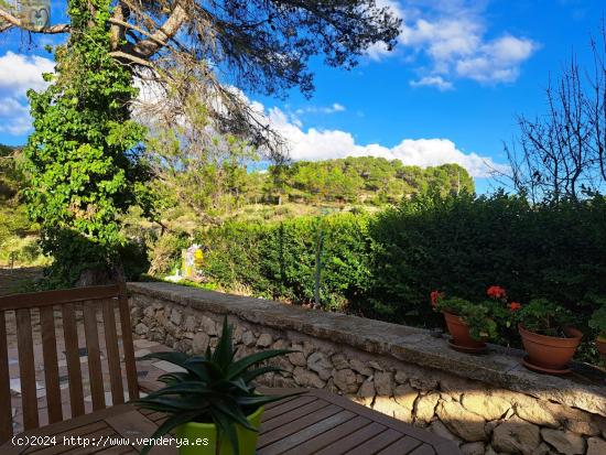 CASA DE CAMPO EN LA MONTAÑA EN IBI(ALICANTE) - ALICANTE