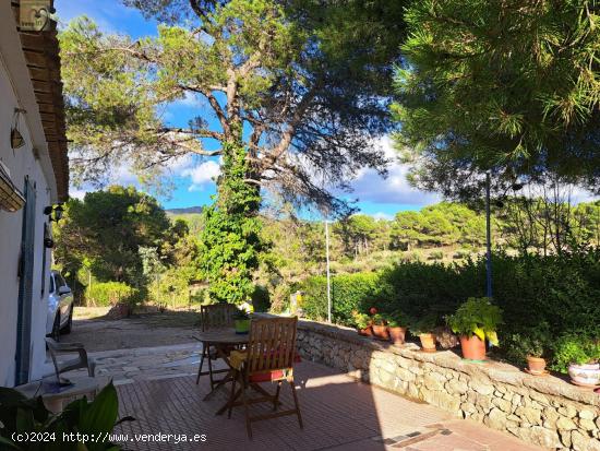 CASA DE CAMPO EN LA MONTAÑA EN IBI(ALICANTE) - ALICANTE