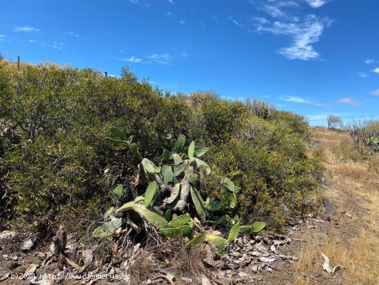 Venta de Terreno de 416m en Tabaiba - SANTA CRUZ DE TENERIFE