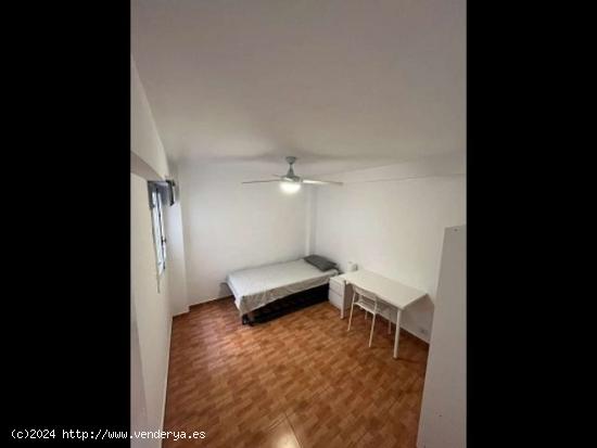 Se alquila habitación en piso de 3 dormitorios en valencia. - VALENCIA