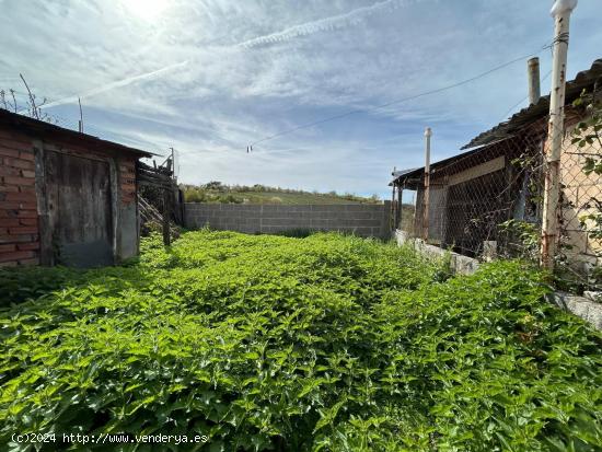 SE VENDE TERRENO URBANO EN VILLAR DE LOS BARRIOS - LEON