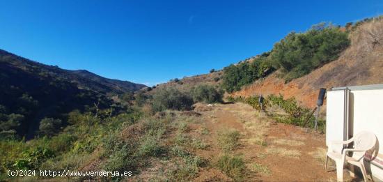 Finca rústica con casa-apero en Totalán - MALAGA