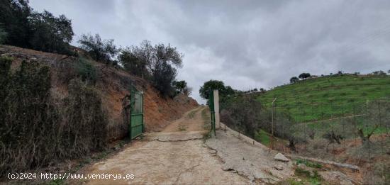  FINCA EN CÁRTAMA - MALAGA 