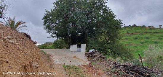 FINCA EN CÁRTAMA - MALAGA