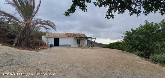 FINCA EN CÁRTAMA - MALAGA