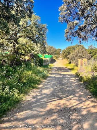 VENTA DE TERRENO EN CASTIBLANCO DE LOS ARROYOS. - SEVILLA