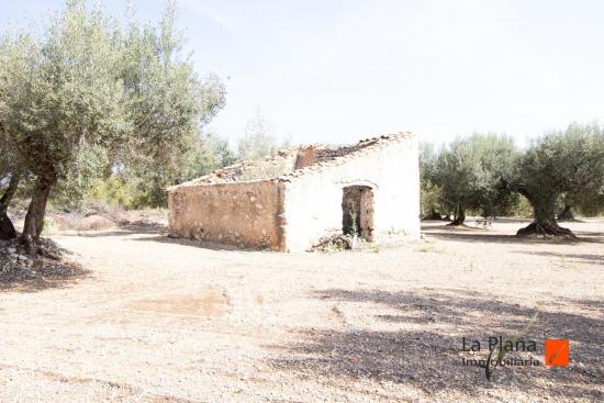  FINCA EL PELOS EN VENTA EN LA GALERA (TARRAGONA) - TARRAGONA 