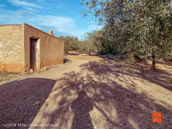 FINCA RUSTICA CON CASETA EN VENTA EN SANTA BARBARA (TARRAGONA) - TARRAGONA