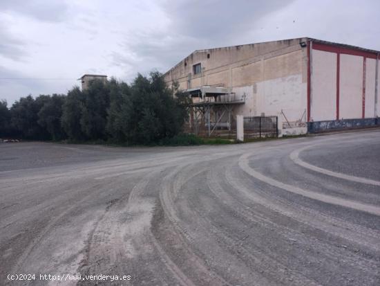 NAVE INDUSTRIAL/CAMARA FRIJOLOFERA/AMPLIA, EN BUEN ESTADO. 1.010.000€ - ALICANTE