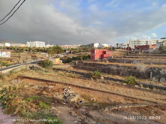 2 PARCELAS EN EL CARACOL BAJO (TELDE) - LAS PALMAS