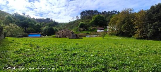 TERRENO EDIFICABLE EN AMBAS - ASTURIAS