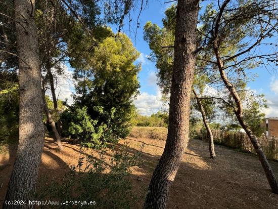 SE VENDE PARCELA EN SANTA APOLONIA, VEDAT DE TORRENT - VALENCIA