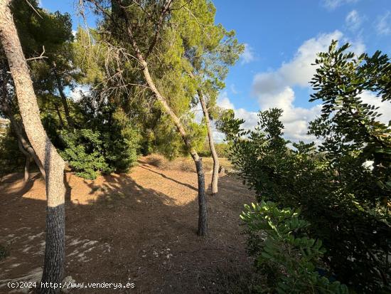 SE VENDE PARCELA EN SANTA APOLONIA, VEDAT DE TORRENT - VALENCIA