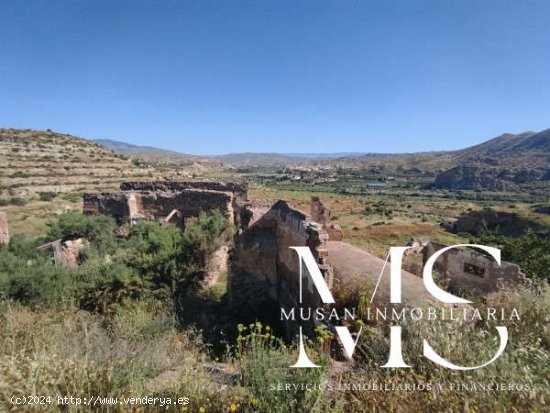 SE VENDE FINCA PARA INVERNAR EN TERQUE - Terque