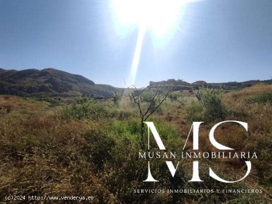 SE VENDE FINCA PARA INVERNAR EN TERQUE - Terque