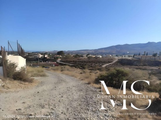 SE VENDE Finca rústica en Pechina, Almería - Pechina