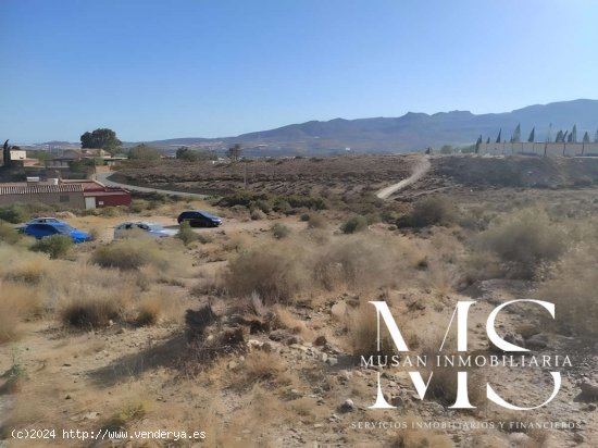 SE VENDE Finca rústica en Pechina, Almería - Pechina