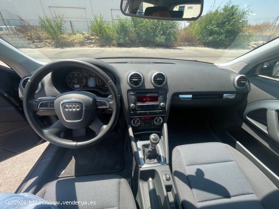 Audi A3 1.6 TDI Attraction - Cabanillas del Campo