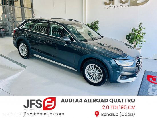 Audi A4 Allroad Quattro 2.0 TDI 190 CV - Benalup