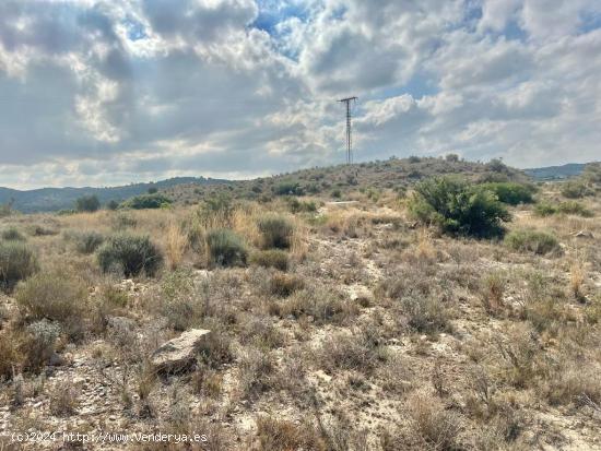  Terreno en Aspe - ALICANTE 