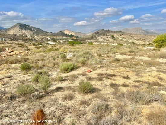 Terreno en Aspe - ALICANTE