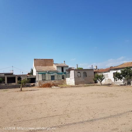 Amplia parcela de 3600 m2, de huerta urbana en Los Dolores con casas y nave para reformar - MURCIA