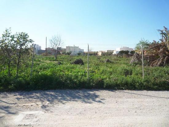 Terreno urbano en venta en Muchamiel - ALICANTE