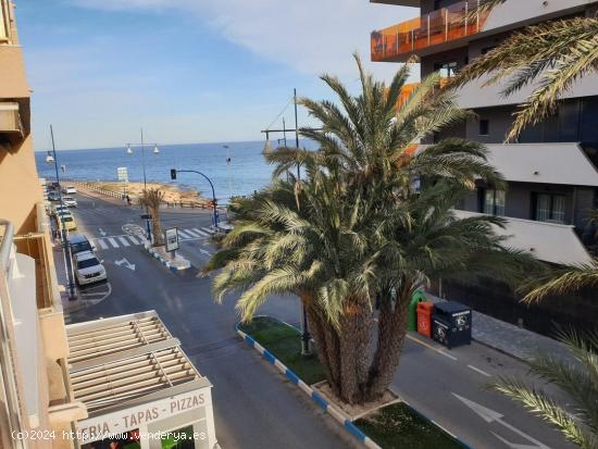 APARTAMENTO 2 HABS EN AVDA HABANERAS A UN PASO DE PLAYA LOS LOCOS 125.000€ - ALICANTE