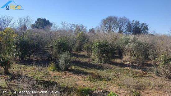 TERRENO URBANO NO CONSOLIDADO - SEVILLA