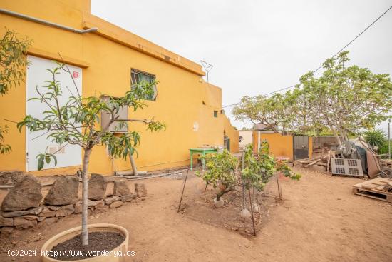 CASA TERRERA CON HUERTA EN LA VICTORIA (ZONA BAJA) - SANTA CRUZ DE TENERIFE